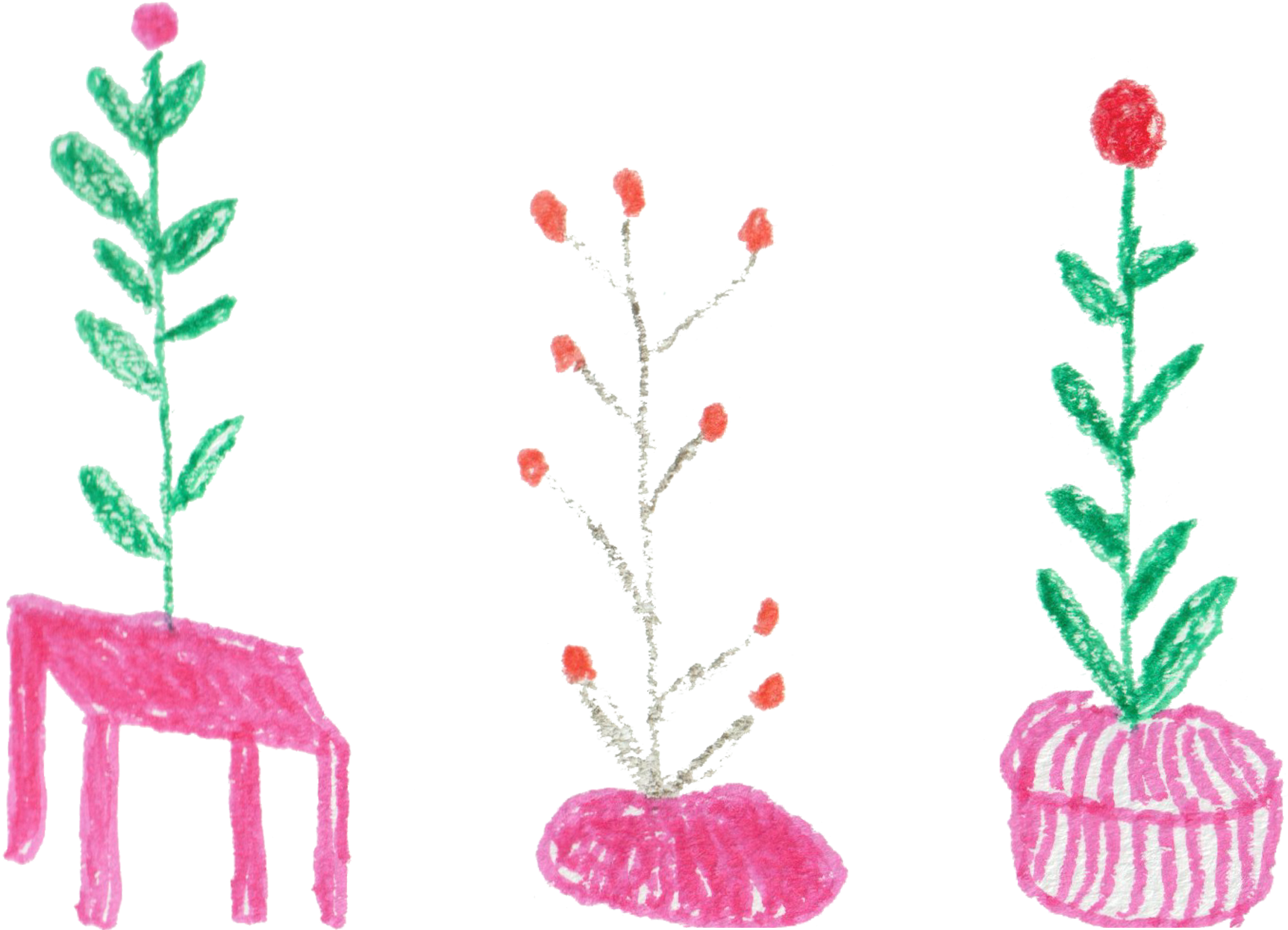 相談員に相談をする